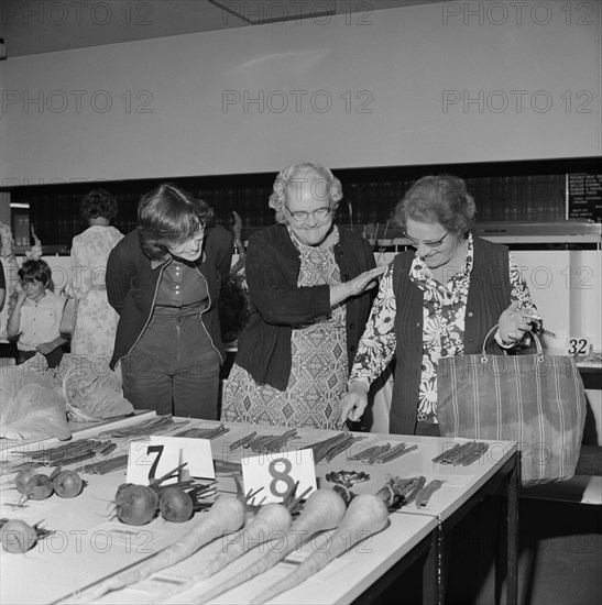 John Laing and Son Limited, Page Street, Mill Hill, Barnet, London, 14/09/1974. Creator: John Laing plc.