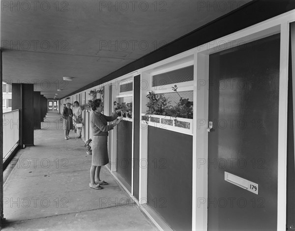 Hahnemann Court, Carley Hill Road, Southwick, Sunderland, 10/10/1966. Creator: John Laing plc.