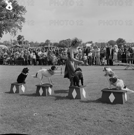 Laing Sports Ground, Rowley Lane, Elstree, Barnet, London, 16/06/1979. Creator: John Laing plc.