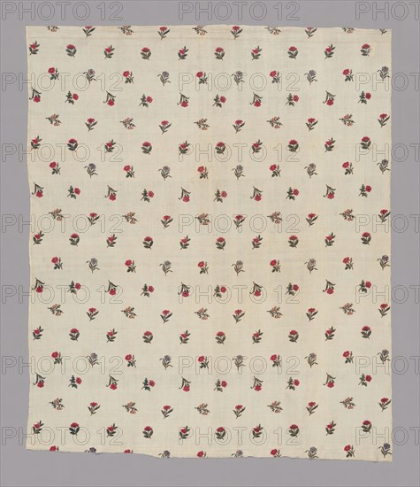 Length of Dress Fabric, France, c. 1785.