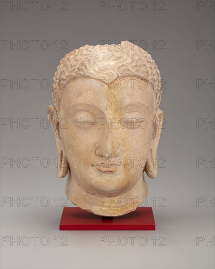 Head of Buddha, Kushan period, 3rd-5th century.