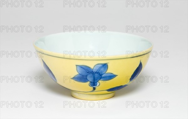 Bowl with Floral Scrolls, Qing dynasty (1644-1911), Kangxi period (1662-1722).