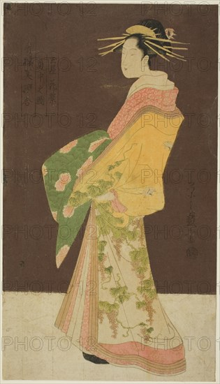 A Selection of Beauty from the Pleasure Quarters (Seiro bisen awase): Hanamurasaki of the Tamaya in Procession (Tamaya Hanamurasaki dochu no zu), c. 1795. Woman wearing a kimono with bunches of grapes design.