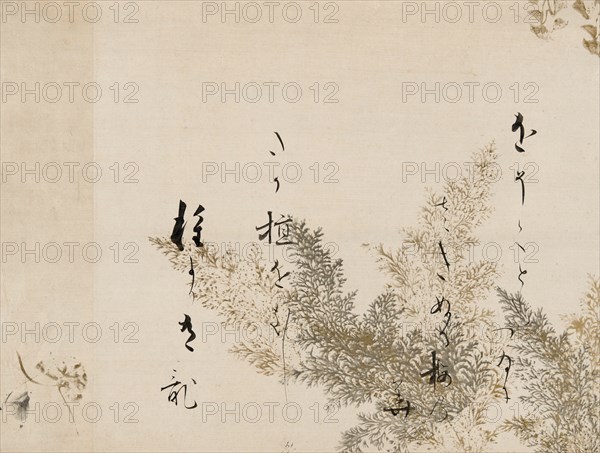 A Poem from the Shin Kokinshu with Design of Shinobugusa (Moss Fern), 1605-10.