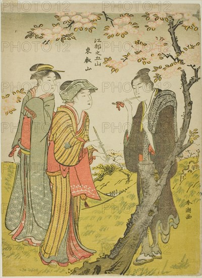 Toei Hill (Toeizan), from the series "Five Hills of Edo (Koto no gozan)", c. 1780/1801.