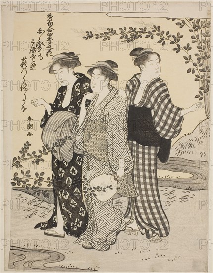 Bush Clovers in Summer, from the series "Choicest Odes Upon Flowers of the Four Seasons (Shuku awase, shiki no hana)", c. 1792.