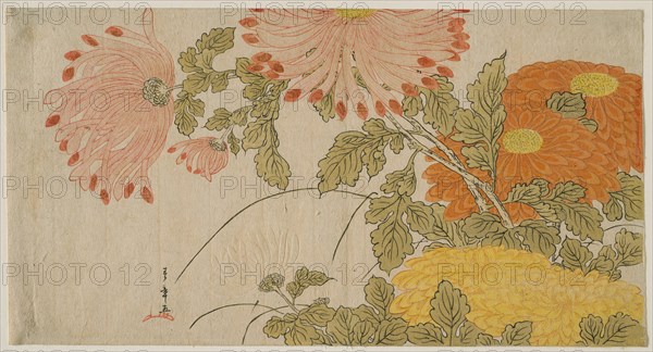 Chrysanthemums, Japan, early 1780s.