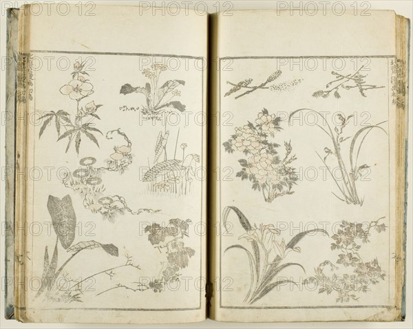 Hokusai manga (Sketches of Hokusai), v. 1-3, 5-11, and 14 of 15, Japan, 1812/78.