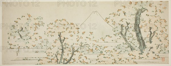 Mount Fuji with Cherry Trees in Bloom, Japan, c. 1801/05.