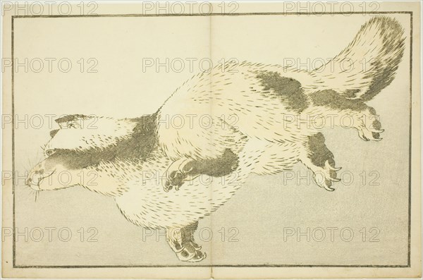 Fox, from The Picture Book of Realistic Paintings of Hokusai (Hokusai shashin gafu), Japan, c. 1814.