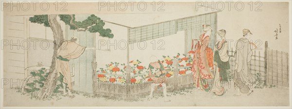 The Peony Show, Japan, c. 1799.