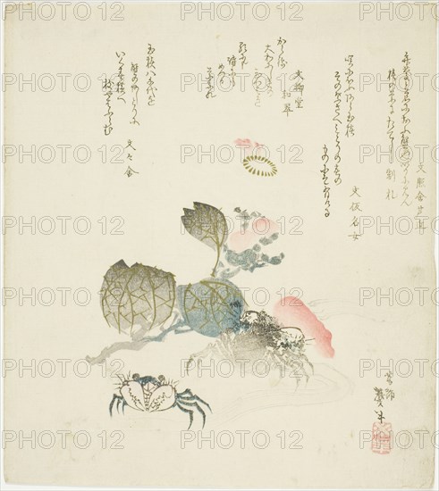 Two crabs by a spray of camellia, Japan, late 1820s-early 1830s.