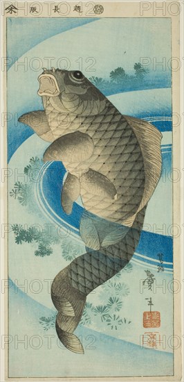 Carp, Japan, c. 1830/44.