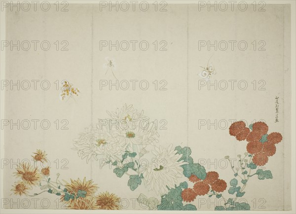 Three Types of Chrysanthemums, Japan, c. 1790.