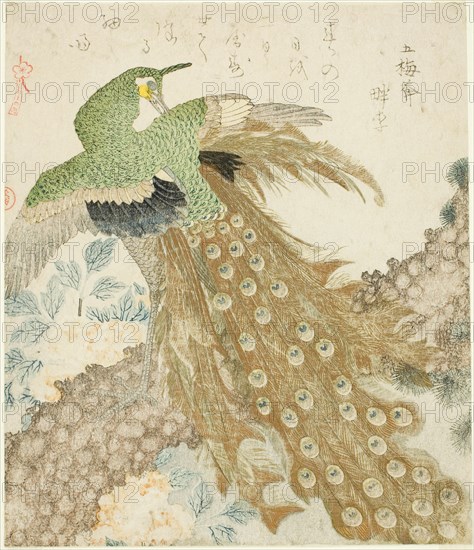 Peacock, Pine Tree, and Peonies, from the series "A Set of Three Petals (San hira no uchi)", Japan, 1810s.