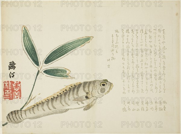 Fish and Bamboo, Japan, 1860s.