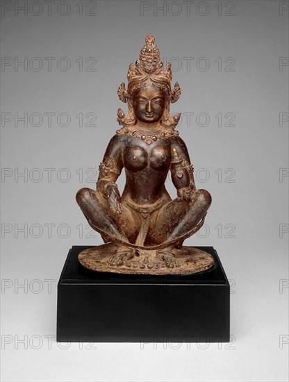 Mother-Goddess Brahmani Seated in Yogic Posture Holding Water Pot, 13th century.