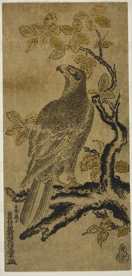A Hawk on a Kiri Tree, c. 1720/25.