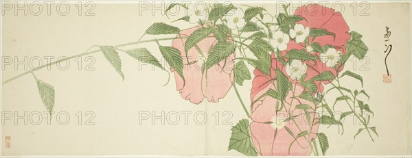Flowers, early 19th century.