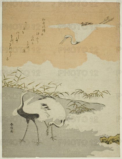 Cranes at the Sea Shore, c. 1768.