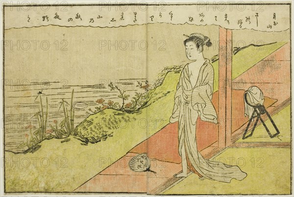 Double-page Illustration from Vol. 1 of "Picture Book of Spring Brocades (Ehon haru no nishiki)", 1771.