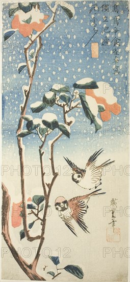 Sparrows and Camellia in Snow, c. 1831/33.