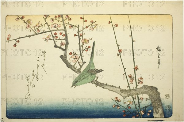 Bush warbler on plum branch, 1840s.