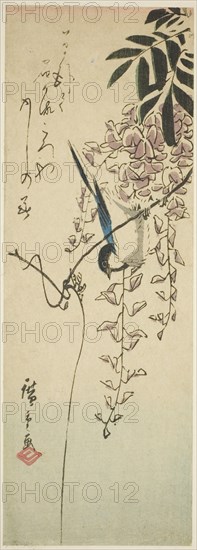 Bird on wisteria, n.d.