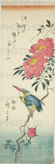 Kingfisher and roses, c. 1847/52.