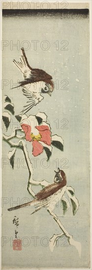 Sparrows and camellia in snow, 1840s.