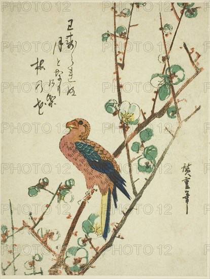 Parrot on plum tree, 1830s.