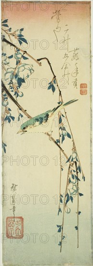 Bush warbler on plum branch, 1830s.