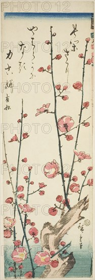 Blossoming plum branches, c. 1843/47.
