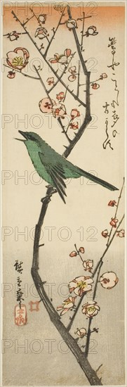Bush warbler and plum, 1840s.