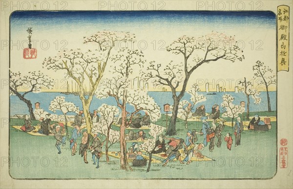 Merrymaking at Goten Hill (Gotenyama yukyo), from the series "Famous Places in Edo (Koto meisho)", c. 1832/34.