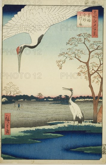Minowa, Kanasugi, Mikawashima, from the series "One Hundred Famous Views of Edo (Meisho Edo hyakkei)”, 1857.