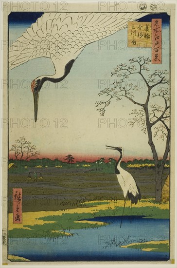 Minowa, Kanasugi, Mikawashima, from the series "One Hundred Famous Views of Edo (Meisho Edo hyakkei)”, 1857.