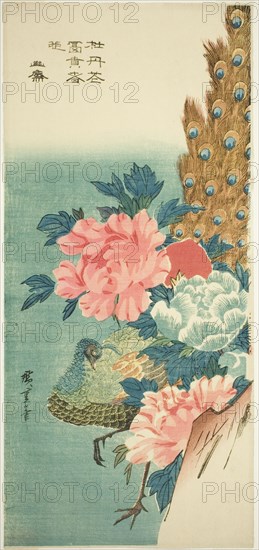 Peacock and peonies, 1830s.