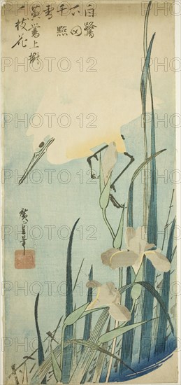 White heron and iris, c. 1832/34.