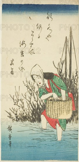 Woman gathering seaweed, n.d.