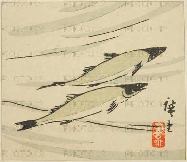 Trout, section of a harimaze sheet, 1858.