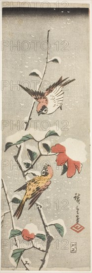Sparrows and Camellia in Snow, c. 1837/48.