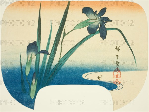 Iris and stream, c. 1830/44.