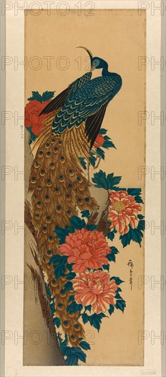 Peacock and peonies, early 1840s.