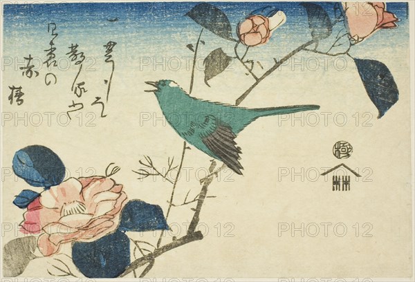 Bush warbler and camellia, n.d.