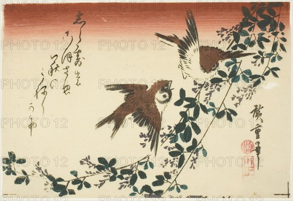Sparrows and bush clover, 1830s.