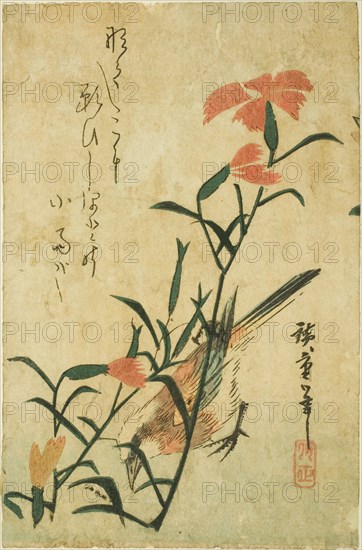 Bird and wild carnation, c. 1830s.