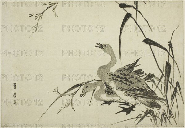 Wild Geese and Reeds, c. 1810.