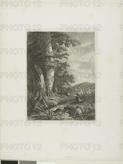 Alpine Landscape, n.d.