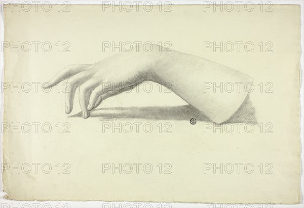 Left Forearm and Hand, n.d.